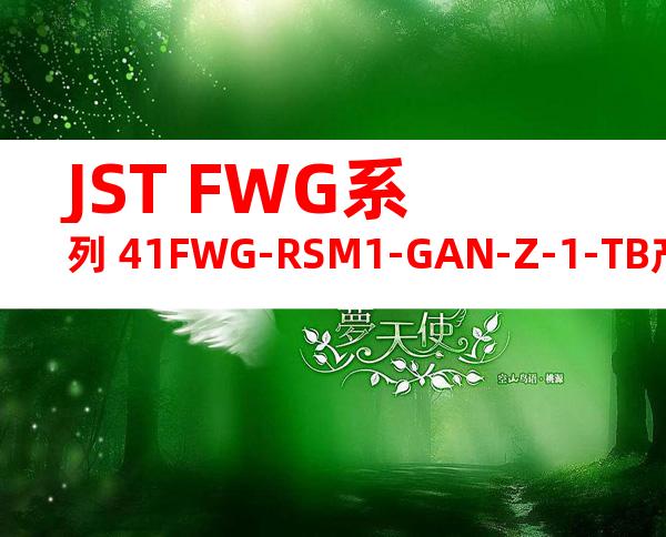 JST FWG系列 41FWG-RSM1-GAN-Z-1-TB产品规格书